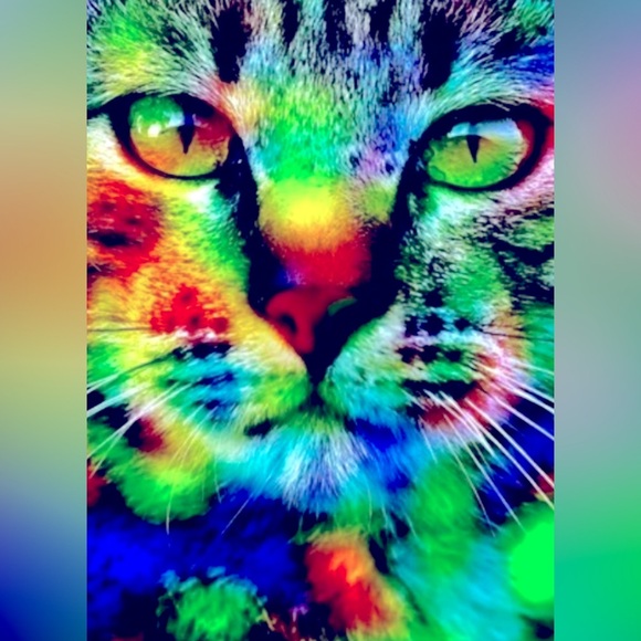 🆕 PSYCADELIC KITTY CAT BACKPACK BOOKBAG BAG NWT - Picture 9 of 15